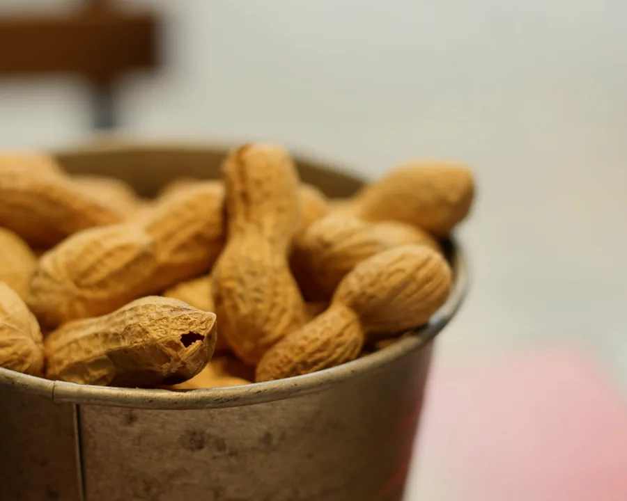 Roasted Peanuts